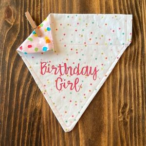 Handmade- L - Reversible Pet Bandana - Slips over collar - Confetti